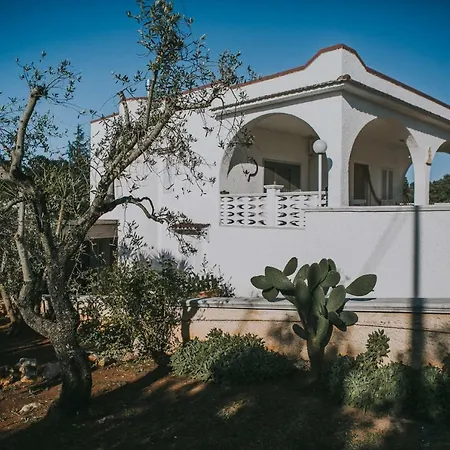 Paradiso Villa-3